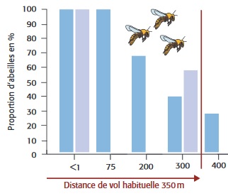 distance de vol