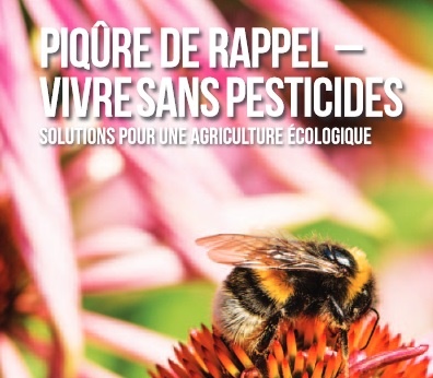 greenpeace - piqure de rappel