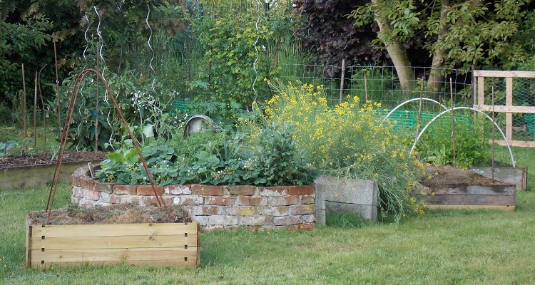 jardin ecolo bio