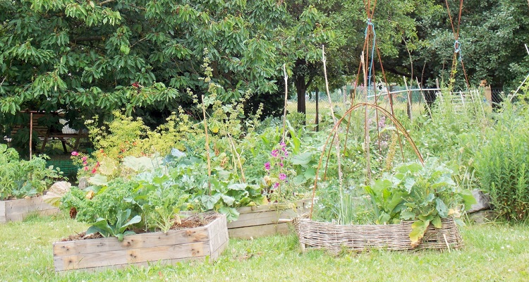 Le jardin d’Ecolo-bio-nature - Par I. Brunet