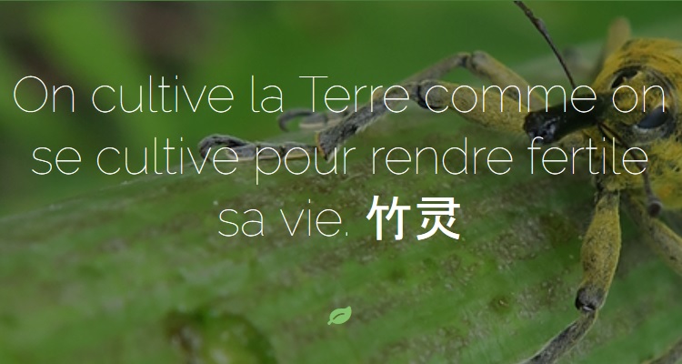 Le Jardin Vivant