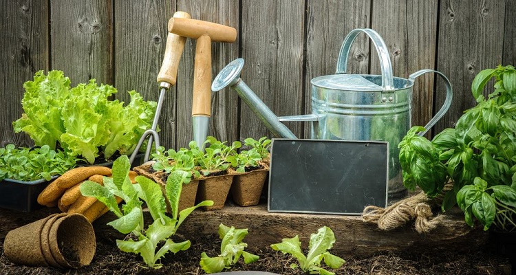Démarrer un Jardin en Permaculture