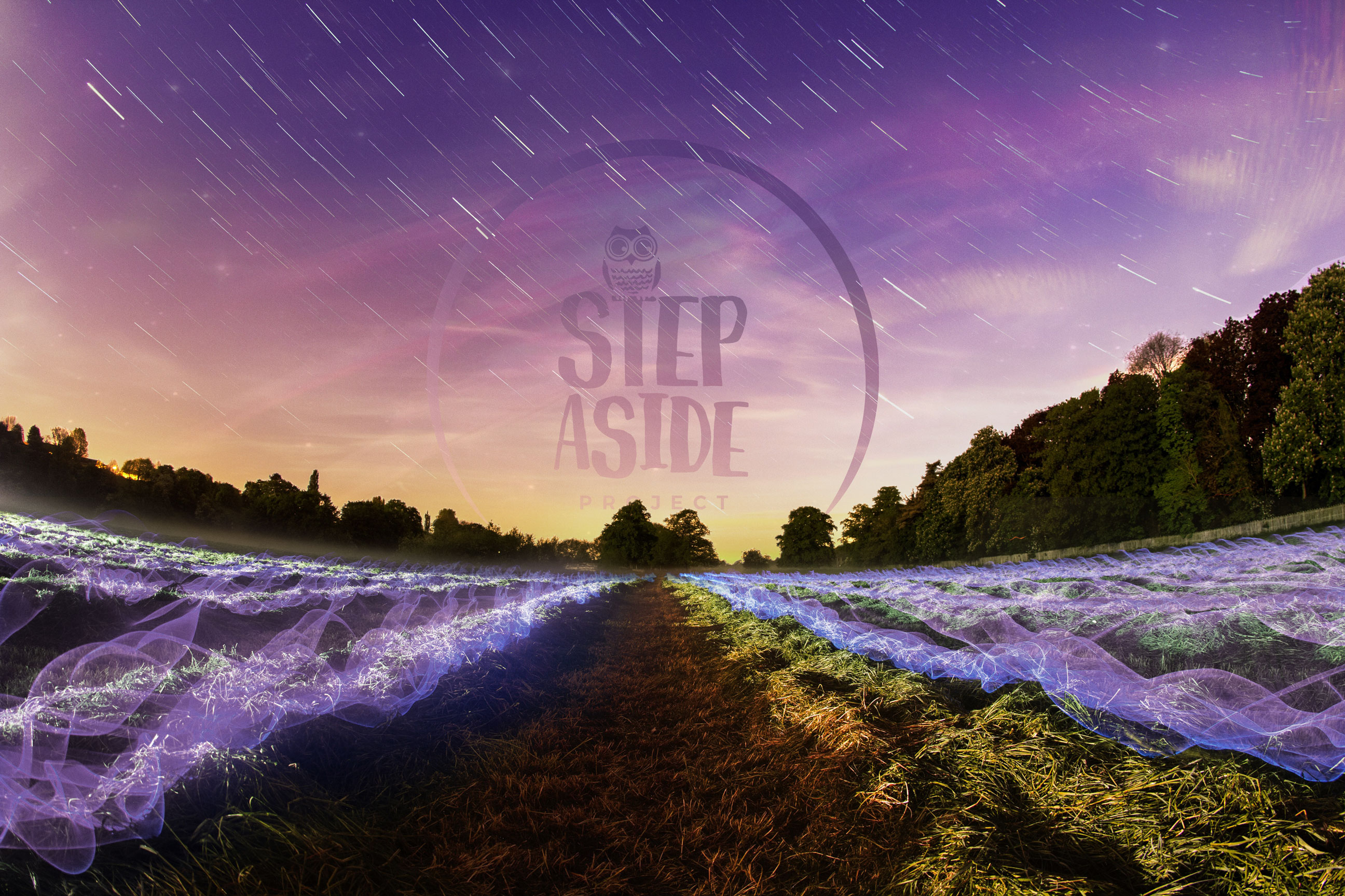 Step Aside Project - Une aventure documentaire