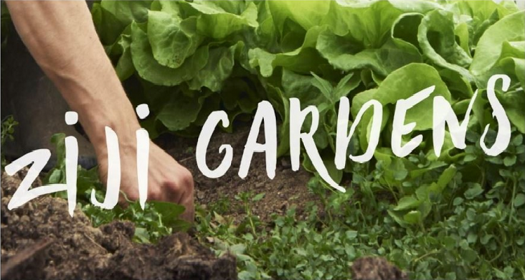 Jardin associatif permaculture "méditation en action"