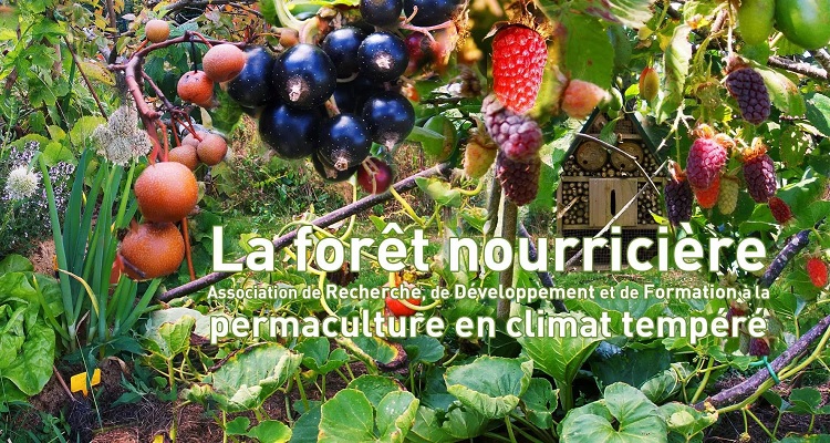 Stage 3j. SYNERGIE dans les rapports humains – Module 4 Gouvernance Organique