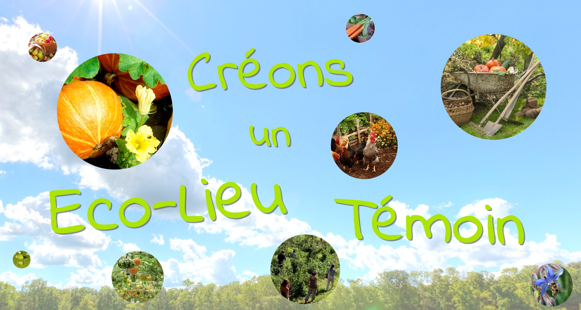 Projet d'Eco-Lieu Témoin