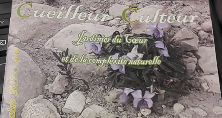 Cueilleur Culteur N°6