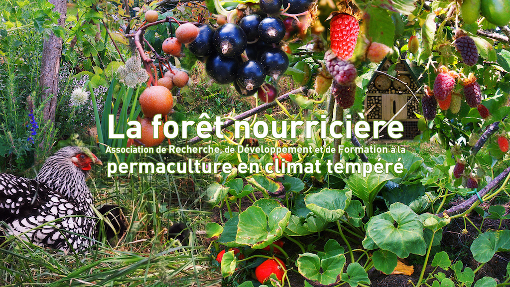 PDC (Cours de Design en Permaculture)