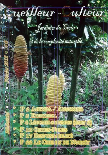 Cueilleur-Culteur N°7