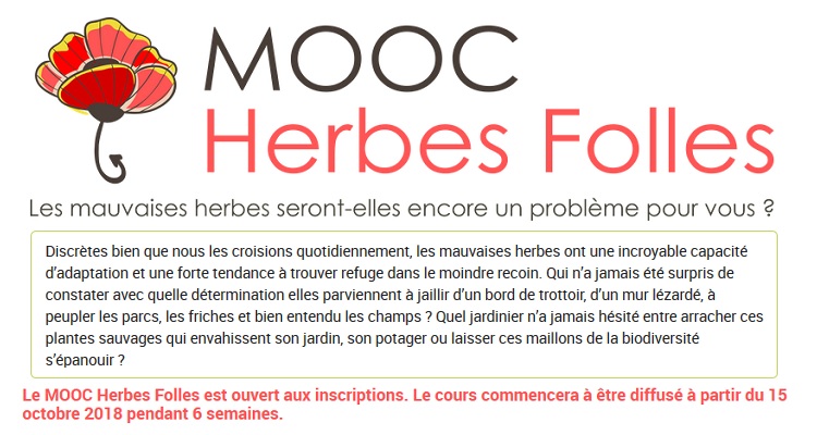 Mooc - Herbes Folles