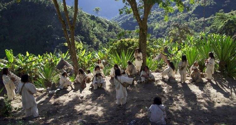 Le Message des Indiens Kogis