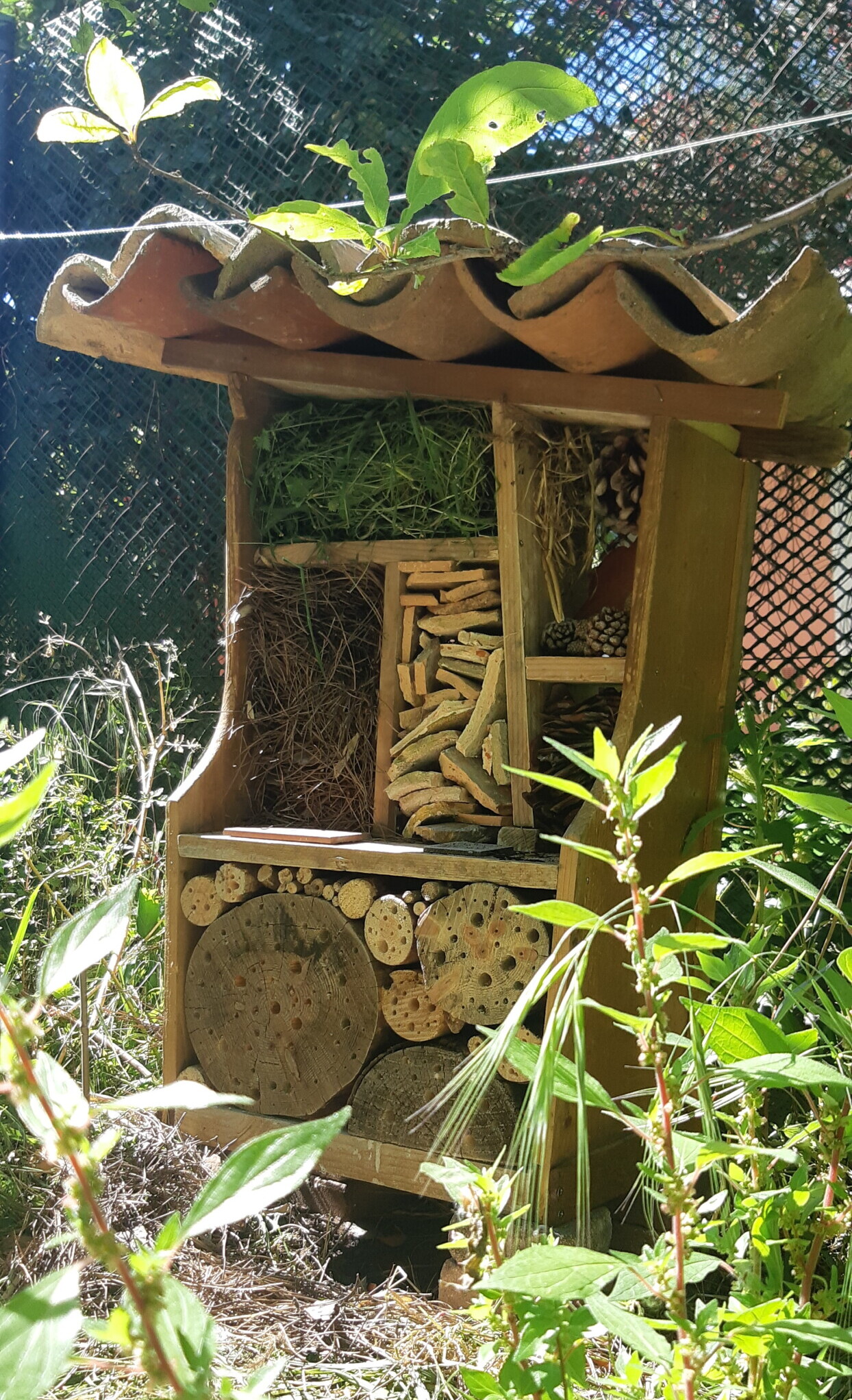 Invitez les petites bêtes dans votre jardin - les abris à insectes