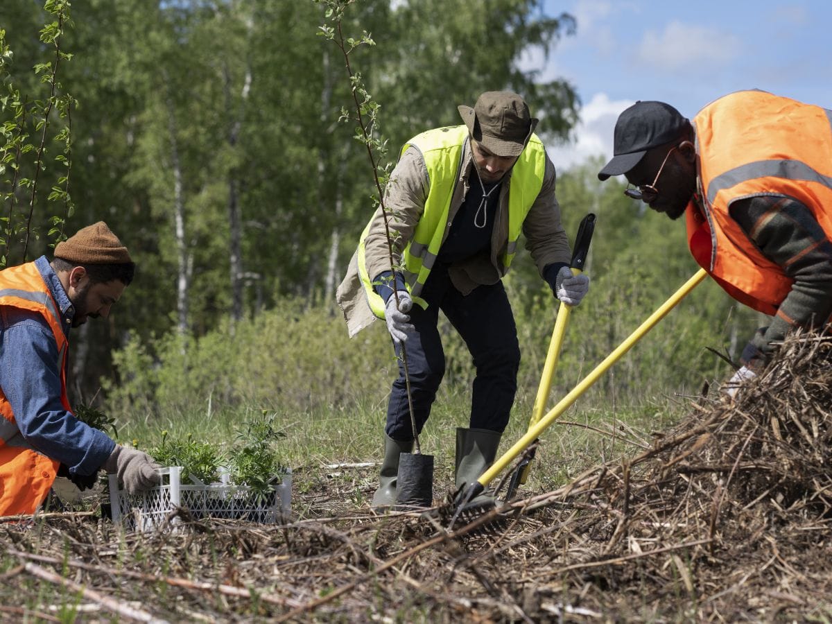 La Culture Syntropique : une révolution agroécologique
