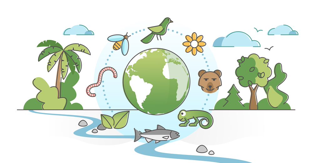 La Biodiversité - Epublication