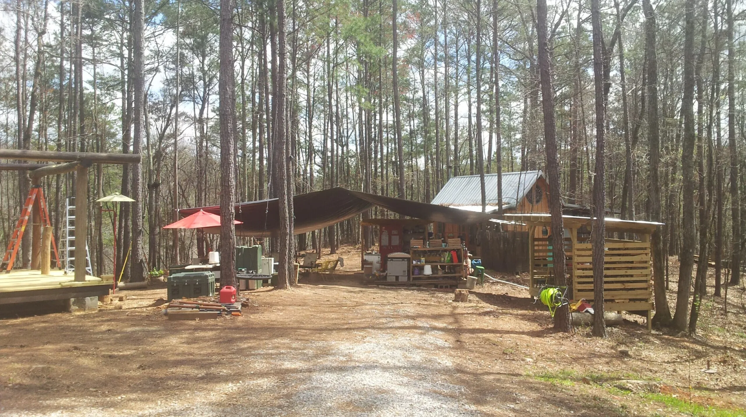 Permaculture au Cœur des Forêts de l'Alabama