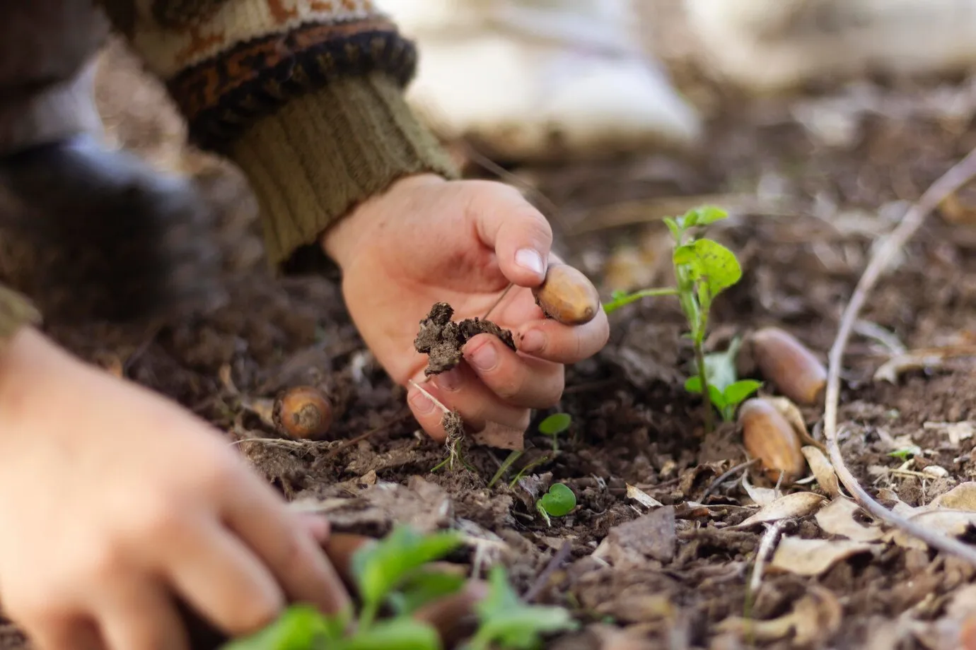 Une brève introduction à la Permaculture...