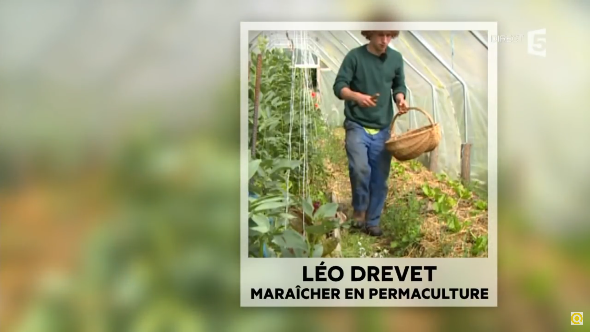 Cultiver autrement : La Permaculture - Doc Vidéo La Quotidienne sur Fr5