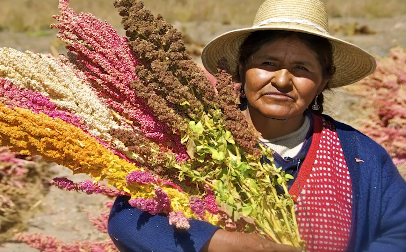 L'Agriculture Familiale, pilier d'une alimentation saine dans le cadre du Développement Durable