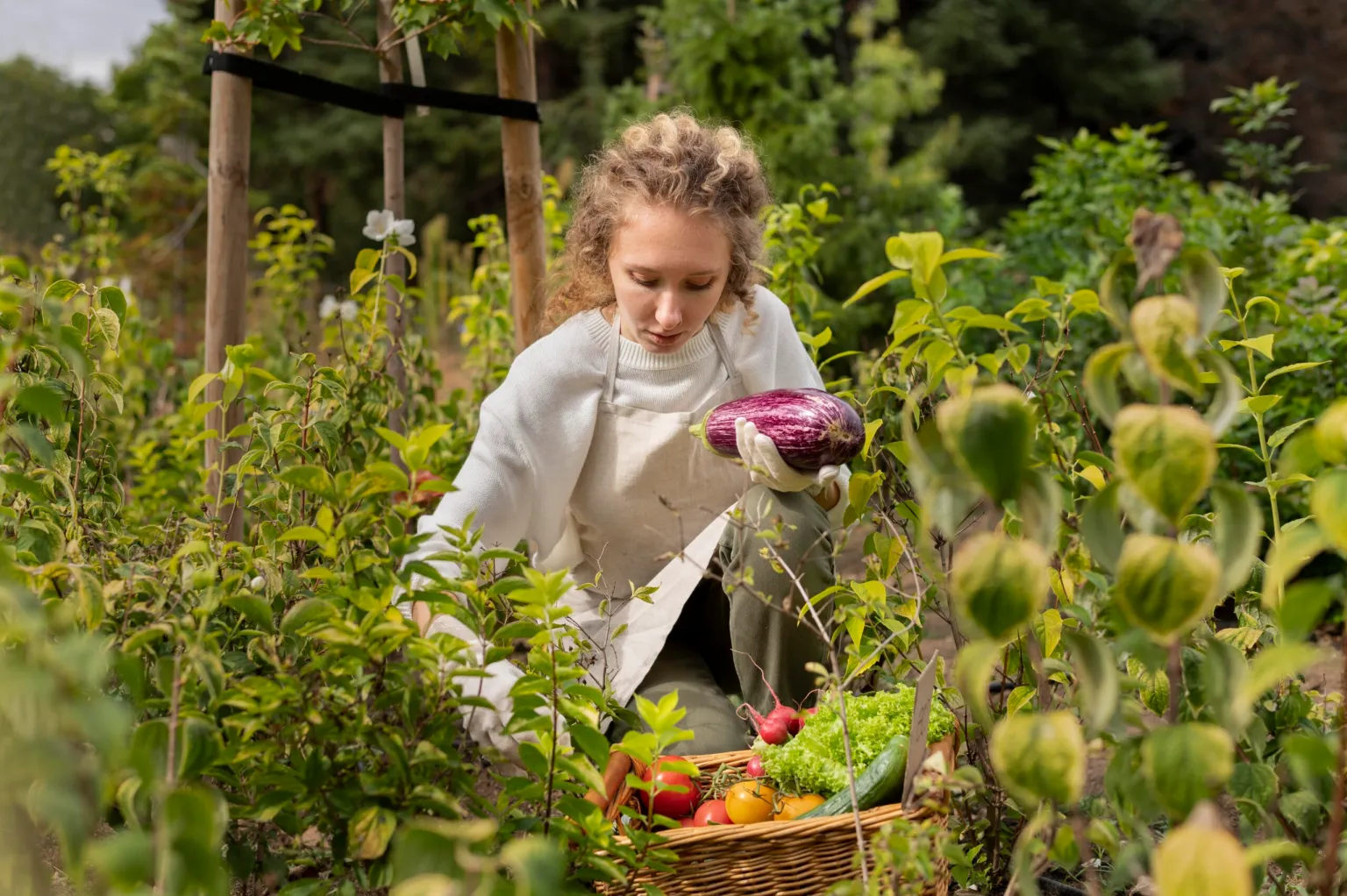La Forêt Nourricière - Réaliser un jardin comestible inspiré de la nature