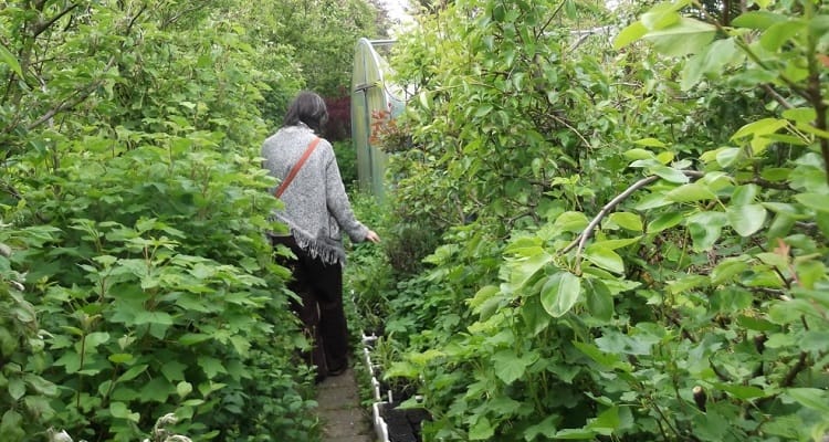 Jardin des Fraternités Ouvrières