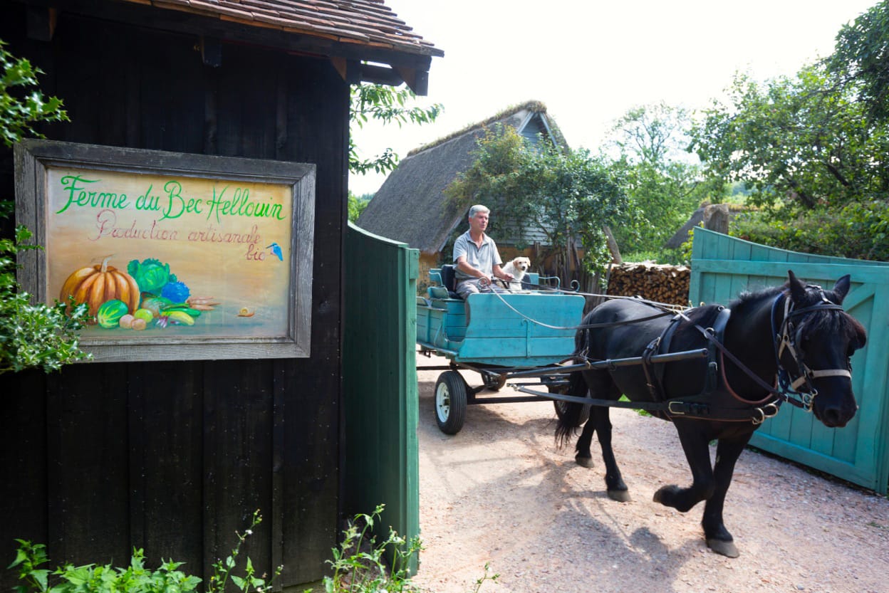 Quand la permaculture dessine l'agriculture de demain