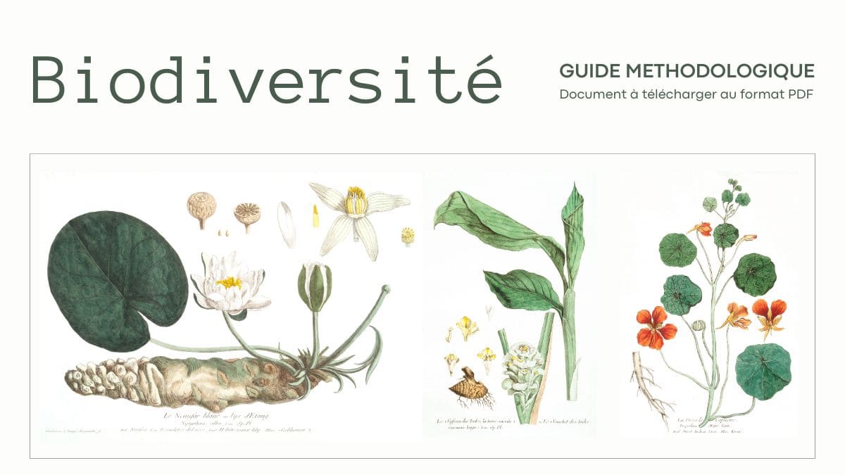 À la recherche des variétés locales de plantes cultivées - Guide méthodologique