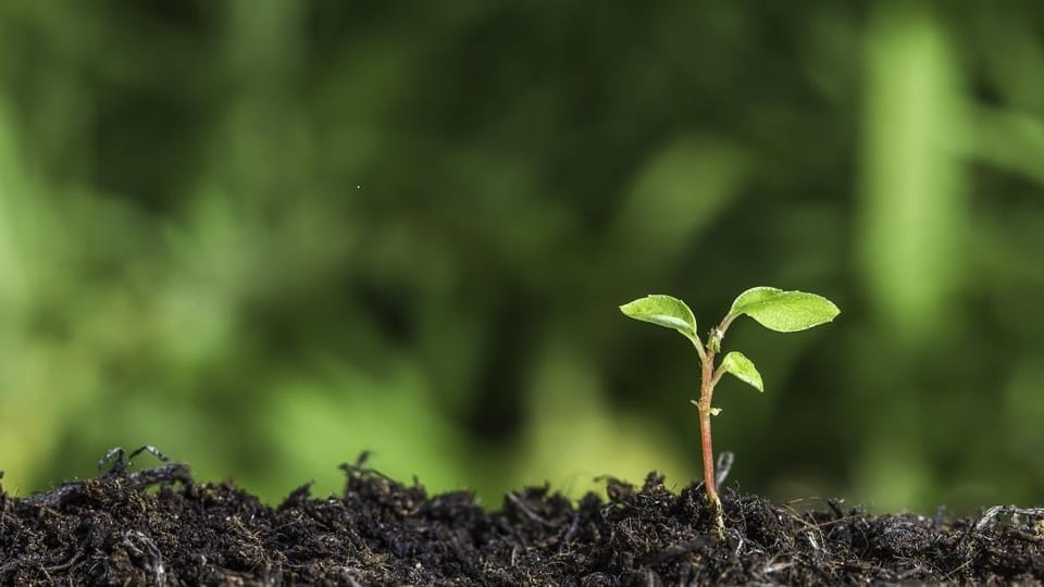 Les Voix du Sol : quand la Terre nous parle, sur RTS