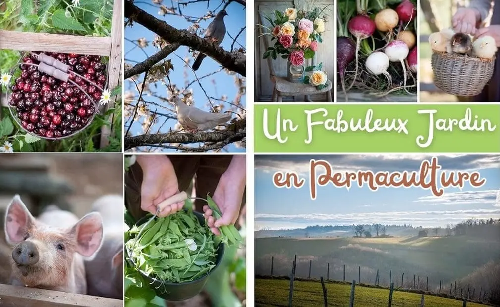 Un fabuleux jardin en Permaculture